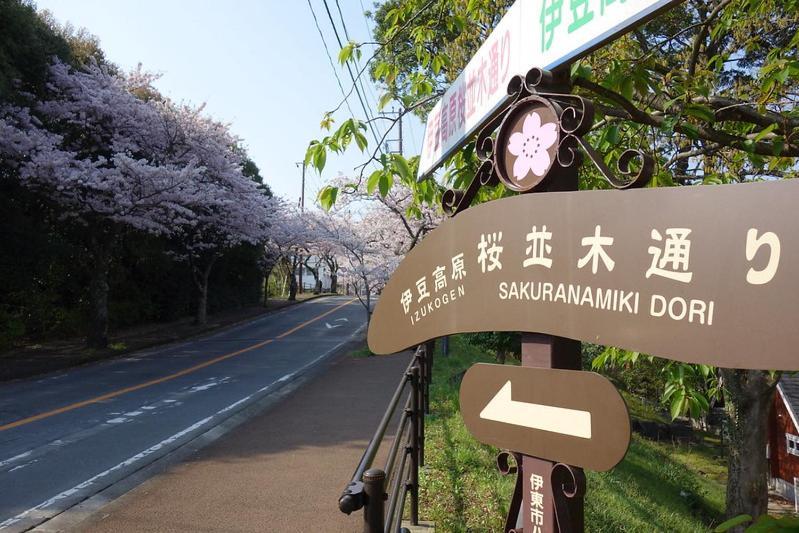 伊豆高原 温泉付別荘 Isana Mountain Villa Futo Luaran gambar