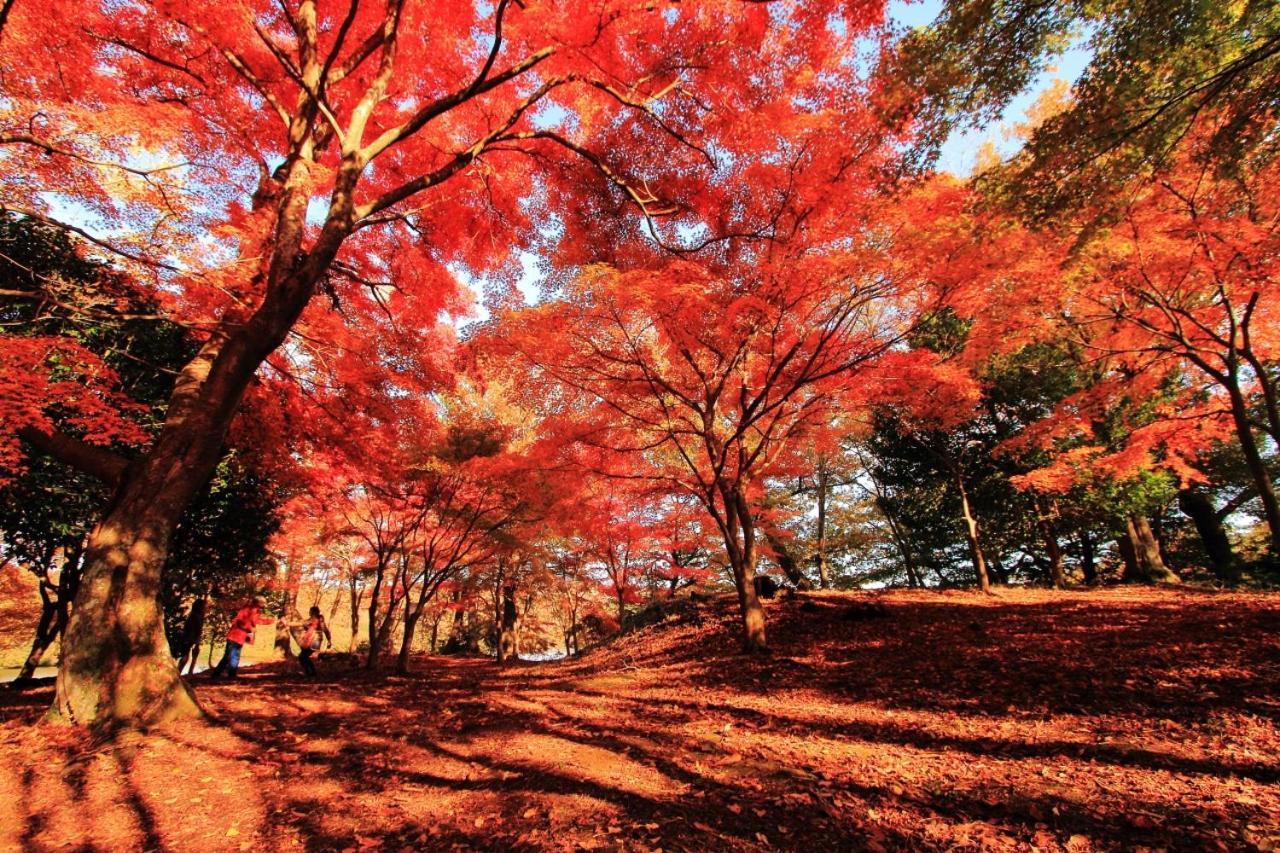 伊豆高原 温泉付別荘 Isana Mountain Villa Futo Luaran gambar
