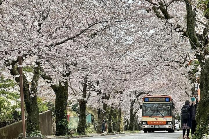 伊豆高原 温泉付別荘 Isana Mountain Villa Futo Luaran gambar