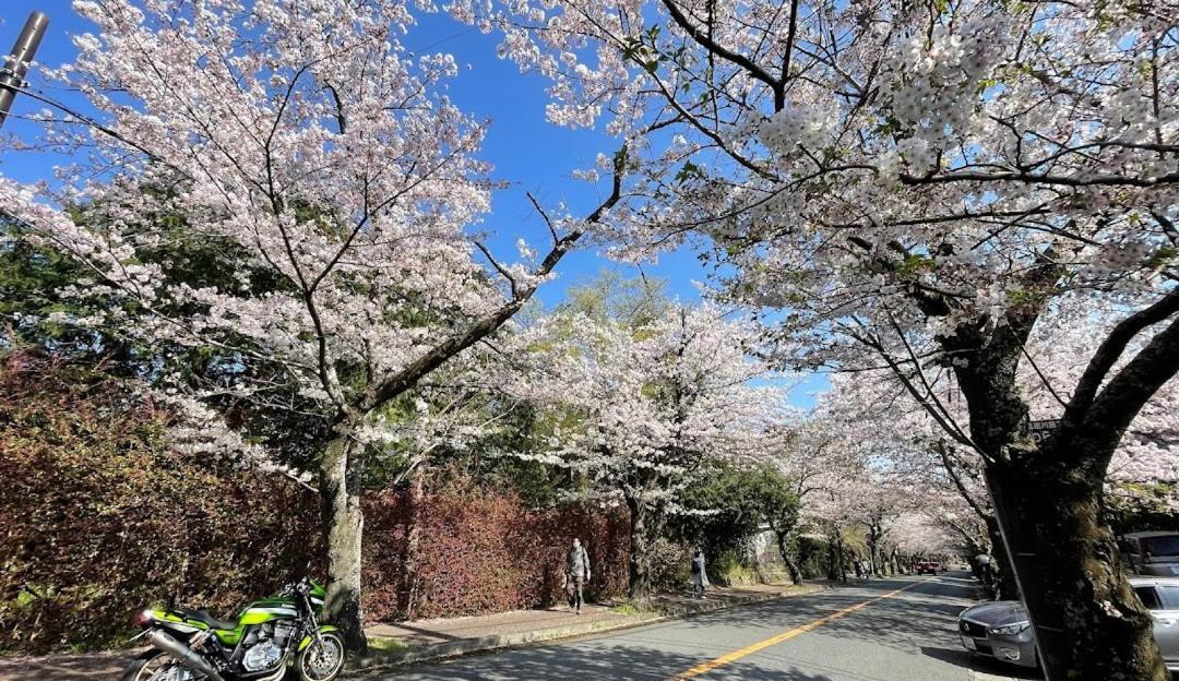 伊豆高原 温泉付別荘 Isana Mountain Villa Futo Luaran gambar